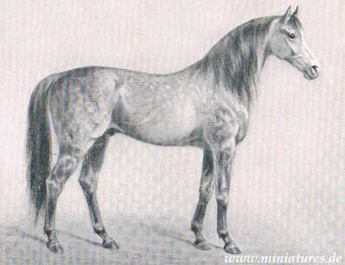 Orlow-Traber
